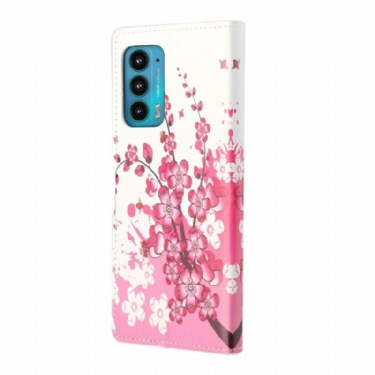 Flip Cover Motorola Edge 20 Japansk Abrikos