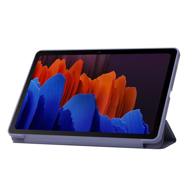 Samsung Galaxy Tab S10 Plus Slank