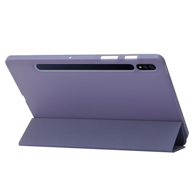 Samsung Galaxy Tab S10 Plus Slank