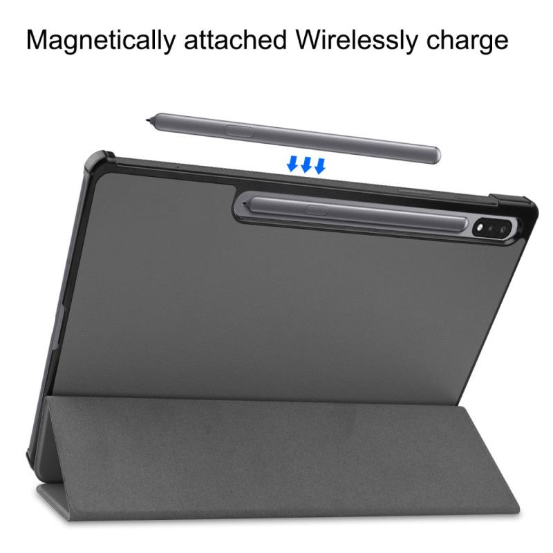 Samsung Galaxy Tab S10 Plus Stylusholder