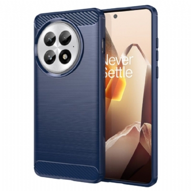 Cover Oneplus 13 Telefon Etui Børstet Kulfiber